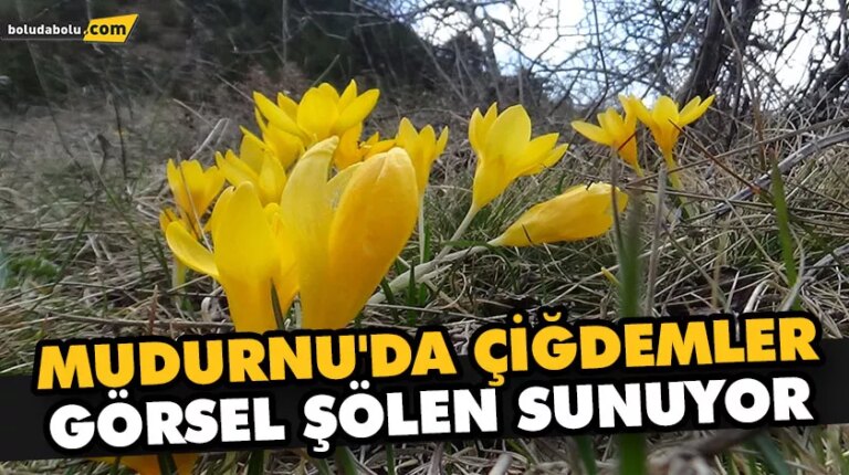 MUDURNU’DA ÇİĞDEMLER GÖRSEL ŞÖLEN SUNUYOR