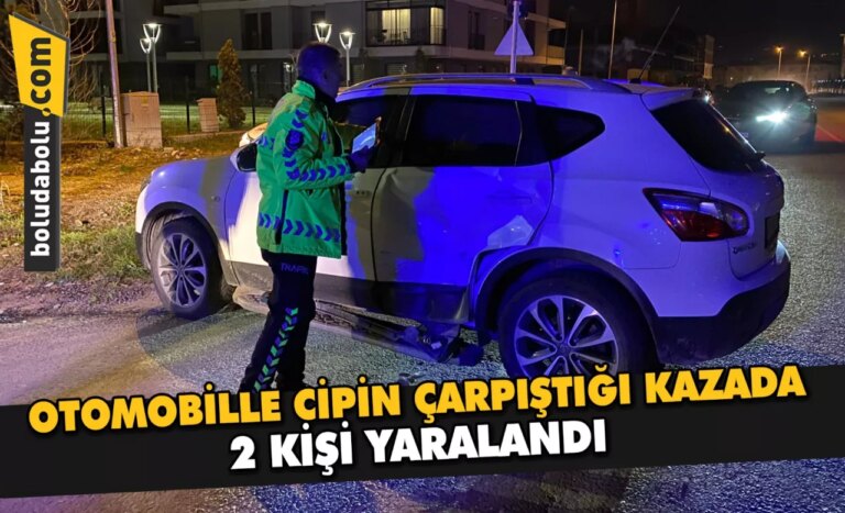 Düzce’de otomobille cipin çarpıştığı kazada 2 kişi yaralandı