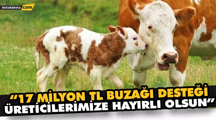 “17 MİLYON TL BUZAĞI DESTEĞİ ÜRETİCİLERİMİZE HAYIRLI OLSUN” “17 MİLYON TL BUZAĞI DESTEĞİ ÜRETİCİLERİMİZE HAYIRLI OLSUN”