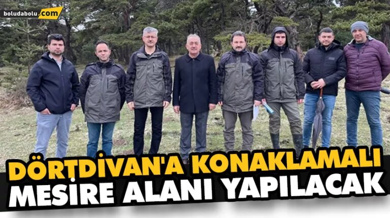 DÖRTDİVAN’A KONAKLAMALI MESİRE ALANI YAPILACAK