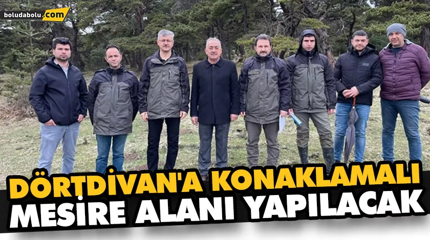 DÖRTDİVAN’A KONAKLAMALI MESİRE ALANI YAPILACAK DÖRTDİVAN’A KONAKLAMALI MESİRE ALANI YAPILACAK