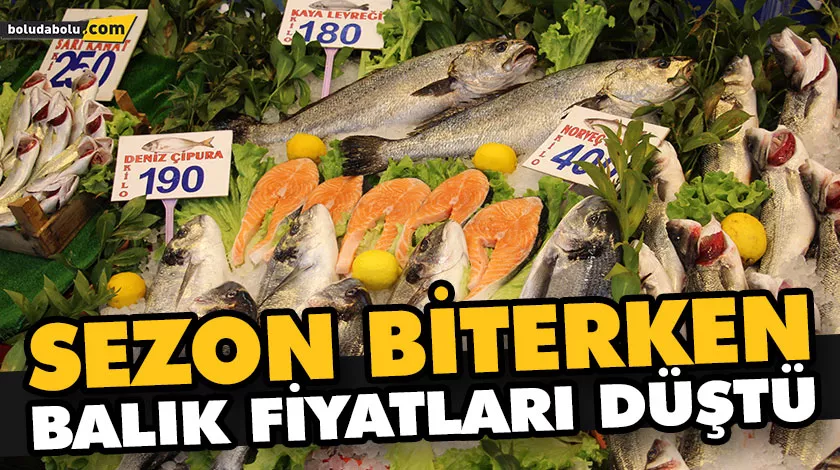 SEZON BİTERKEN BALIK FİYATLARI DÜŞTÜ SEZON BİTERKEN BALIK FİYATLARI DÜŞTÜ