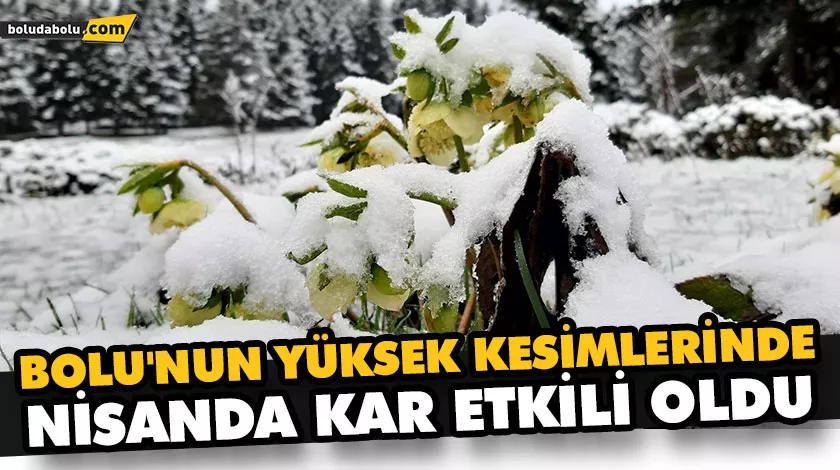 KAR KALINLIĞI 5 SANTİMETREYİ GEÇTİ KAR KALINLIĞI 5 SANTİMETREYİ GEÇTİ