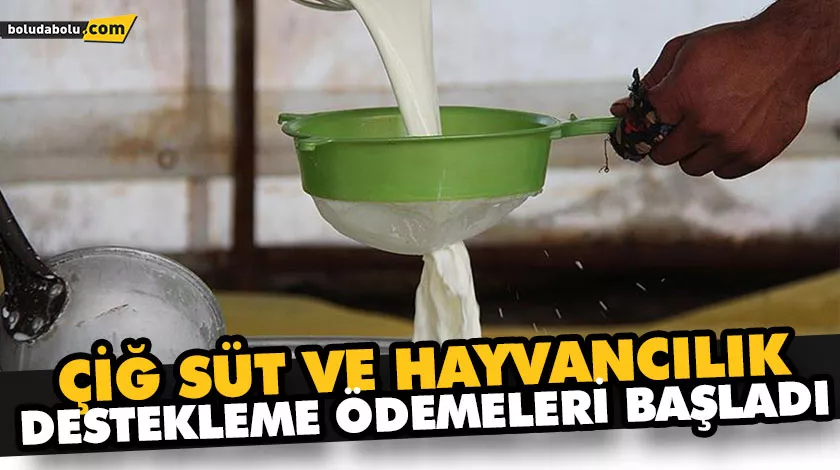 ÇİĞ SÜT VE HAYVANCILIK DESTEKLEME ÖDEMELERİ BAŞLADI ÇİĞ SÜT VE HAYVANCILIK DESTEKLEME ÖDEMELERİ BAŞLADI