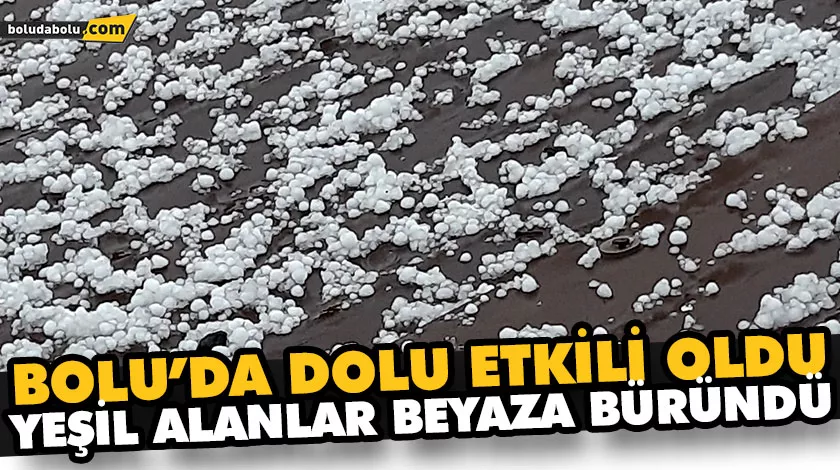 BOLU’DA DOLU ETKİLİ OLDU, YEŞİL ALANLAR BEYAZA BÜRÜNDÜ BOLU’DA DOLU ETKİLİ OLDU, YEŞİL ALANLAR BEYAZA BÜRÜNDÜ