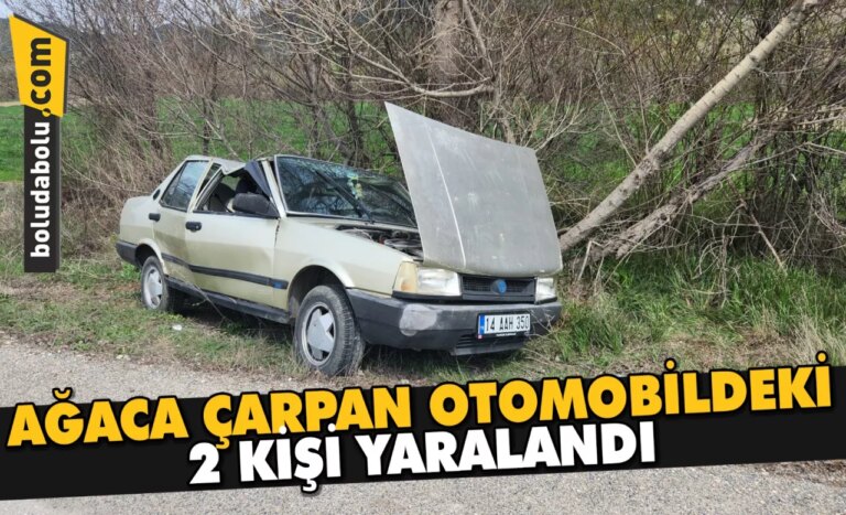 Bolu’da ağaca çarpan otomobildeki 2 kişi yaralandı