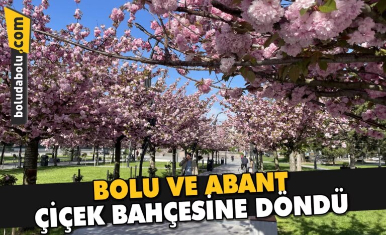 Bolu ve Abant çiçek bahçesine döndü