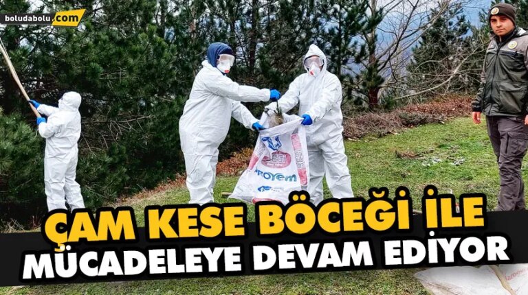 ÇAM KESE BÖCEĞİ İLE MÜCADELEYE DEVAM EDİYOR