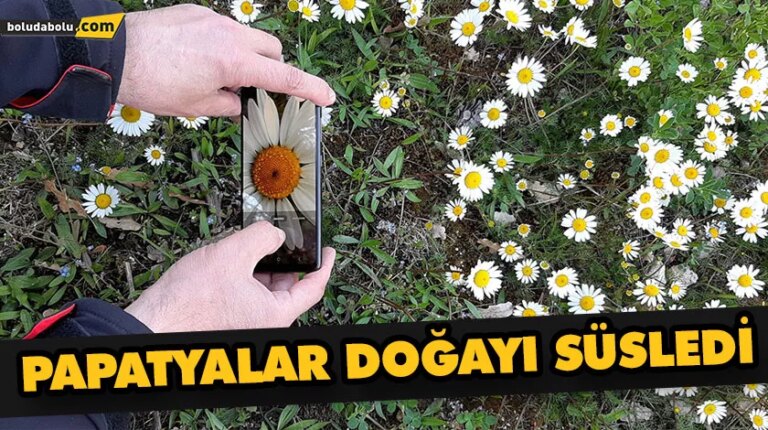 PAPATYALAR DOĞAYI SÜSLEDİ