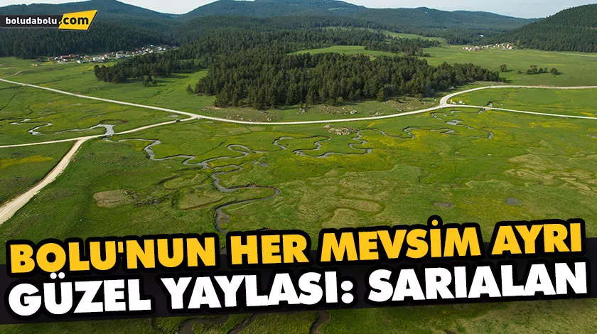 BOLU’NUN HER MEVSİM AYRI GÜZEL YAYLASI: SARIALAN BOLU’NUN HER MEVSİM AYRI GÜZEL YAYLASI: SARIALAN