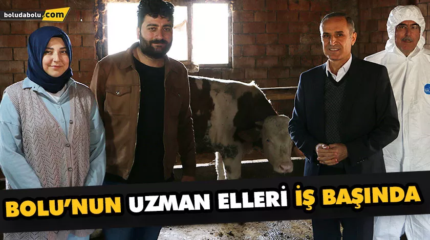 BOLU’NUN UZMAN ELLERİ İŞ BAŞINDA BOLU’NUN UZMAN ELLERİ İŞ BAŞINDA