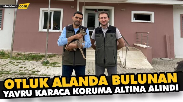 OTLUK ALANDA BULUNAN YAVRU KARACA KORUMA ALTINA ALINDI