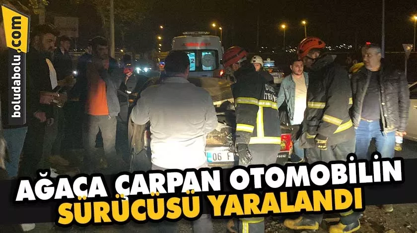 Düzce’de ağaca çarpan otomobilin sürücüsü yaralandı