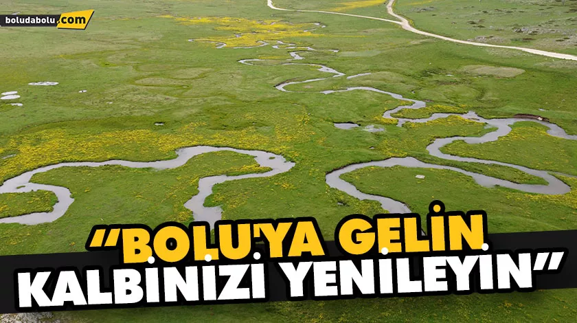 SARIALAN YAYLASI, MENDERESLER VE KIR ÇİÇEKLERİNİN AHENGİYLE SÜSLENDİ