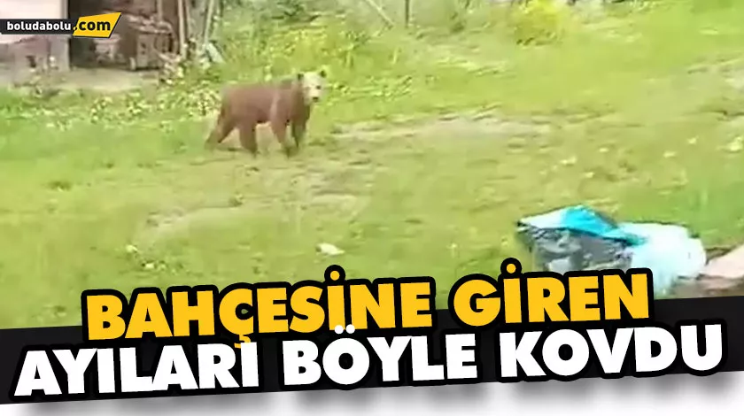 BAHÇESİNE GİREN AYILARI BÖYLE KOVDU BAHÇESİNE GİREN AYILARI BÖYLE KOVDU