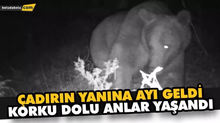 ÇADIRIN YANINA AYI GELDİ, KORKU DOLU ANLAR YAŞANDI