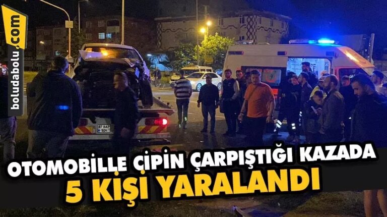 Düzce’de otomobille cipin çarpıştığı kazada 5 kişi yaralandı