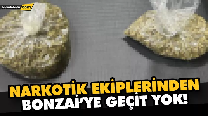 NARKOTİK EKİPLERİNDEN BONZAİ’YE GEÇİT YOK! NARKOTİK EKİPLERİNDEN BONZAİ’YE GEÇİT YOK!