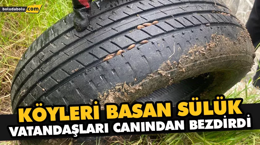 KÖYLERİ BASAN SÜLÜK VATANDAŞLARI CANINDAN BEZDİRDİ KÖYLERİ BASAN SÜLÜK VATANDAŞLARI CANINDAN BEZDİRDİ