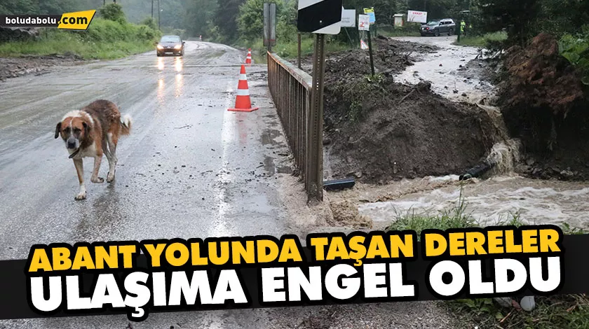 SAĞANAK ABANT KARAYOLUNDA ULAŞIMI AKSATTI SAĞANAK ABANT KARAYOLUNDA ULAŞIMI AKSATTI