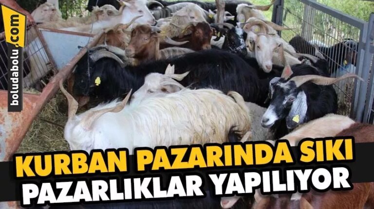 KURBAN PAZARINDA SIKI PAZARLIKLAR YAPILIYOR