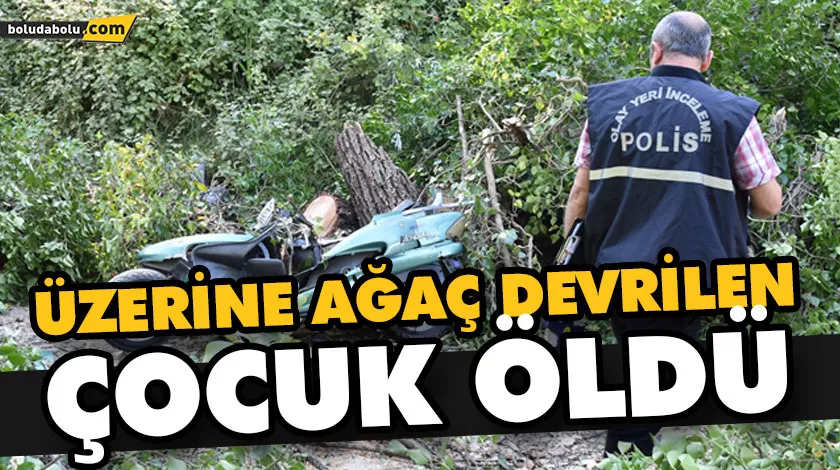 ÜZERİNE AĞAÇ DEVRİLEN ÇOCUK ÖLDÜ ÜZERİNE AĞAÇ DEVRİLEN ÇOCUK ÖLDÜ