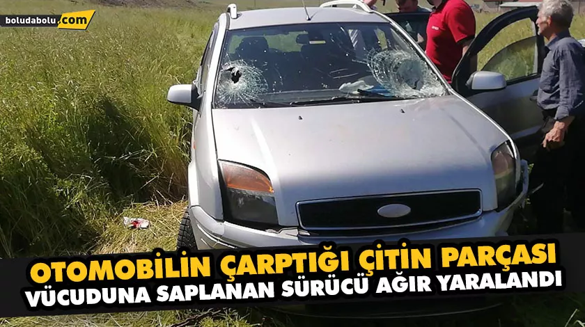 OTOMOBİLİN ÇARPTIĞI ÇİTİN PARÇASI VÜCUDUNA SAPLANAN SÜRÜCÜ AĞIR YARALANDI