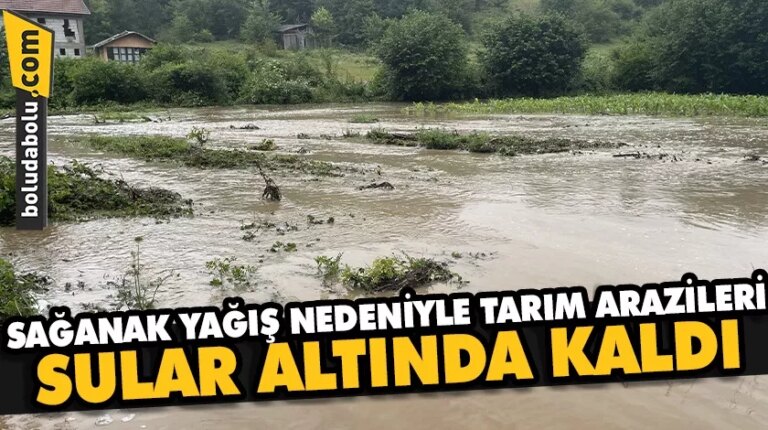 Bolu’da sağanak nedeniyle tarım arazileri sular altında kaldı