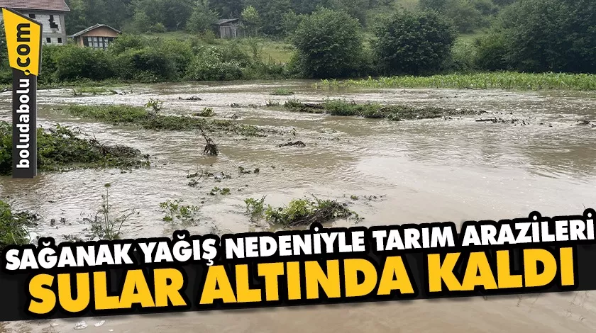Bolu’da sağanak nedeniyle tarım arazileri sular altında kaldı Bolu’da sağanak nedeniyle tarım arazileri sular altında kaldı