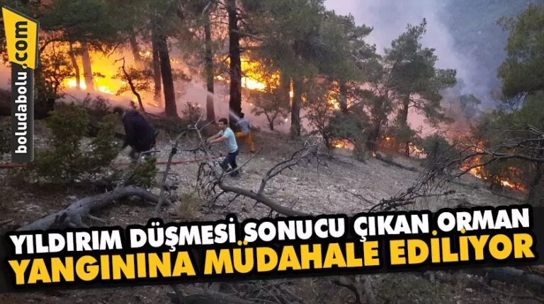 Bolu’da yıldırım düşmesi sonucu çıkan orman yangınına müdahale ediliyor