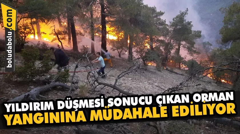 Bolu’da yıldırım düşmesi sonucu çıkan orman yangınına müdahale ediliyor Bolu’da yıldırım düşmesi sonucu çıkan orman yangınına müdahale ediliyor