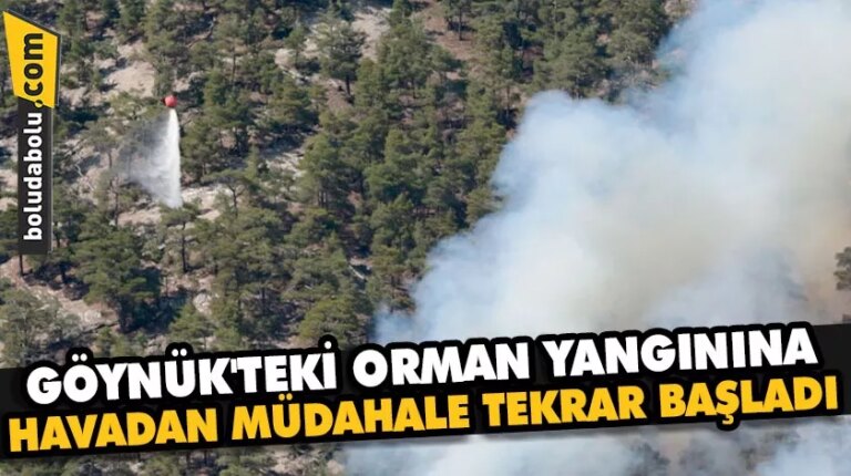 Bolu’da yıldırım düşmesi sonucu çıkan orman yangınına müdahale sürüyor