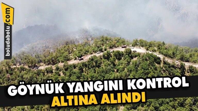Bolu’da yıldırım düşmesi sonucu çıkan orman yangını kontrol altına alındı