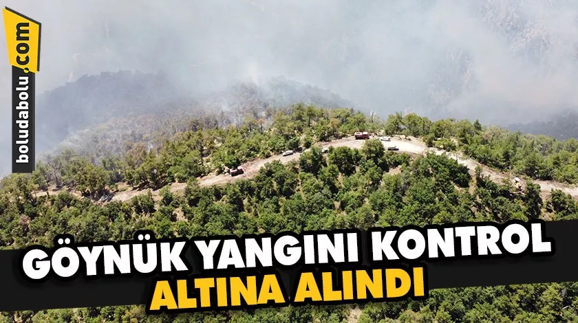 Bolu’da yıldırım düşmesi sonucu çıkan orman yangını kontrol altına alındı Bolu’da yıldırım düşmesi sonucu çıkan orman yangını kontrol altına alındı