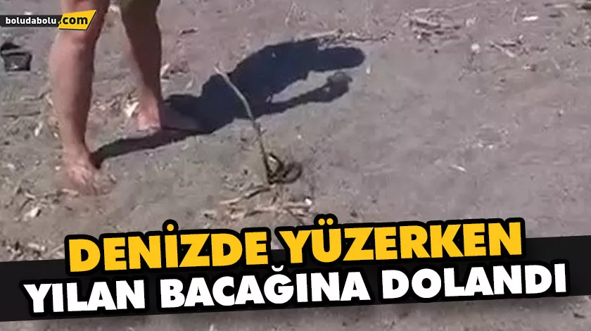 DENİZDE YÜZERKEN YILAN BACAĞINA DOLANDI DENİZDE YÜZERKEN YILAN BACAĞINA DOLANDI