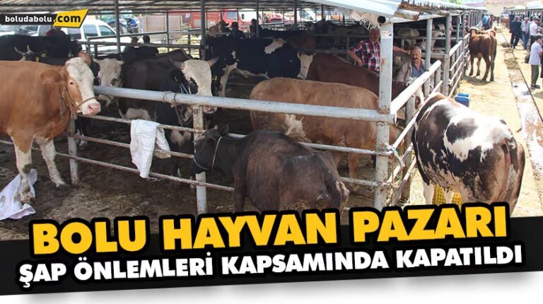 BOLU HAYVAN PAZARI, ŞAP ÖNLEMLERİ KAPSAMINDA KAPATILDI