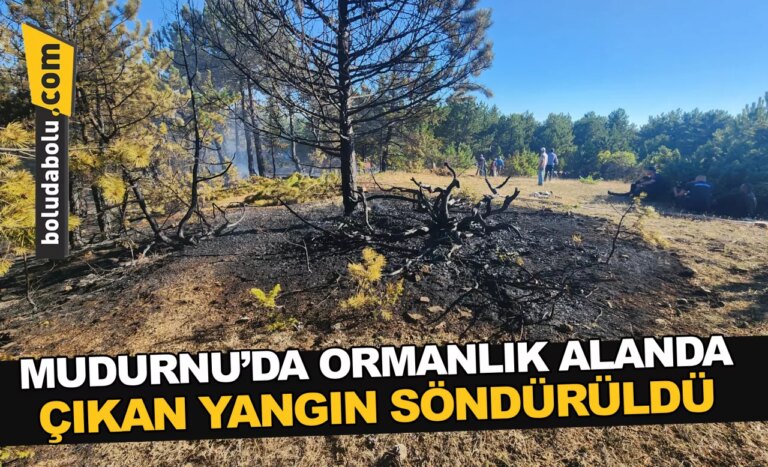 Mudurnu’da ormanlık alanda çıkan örtü yangını söndürüldü