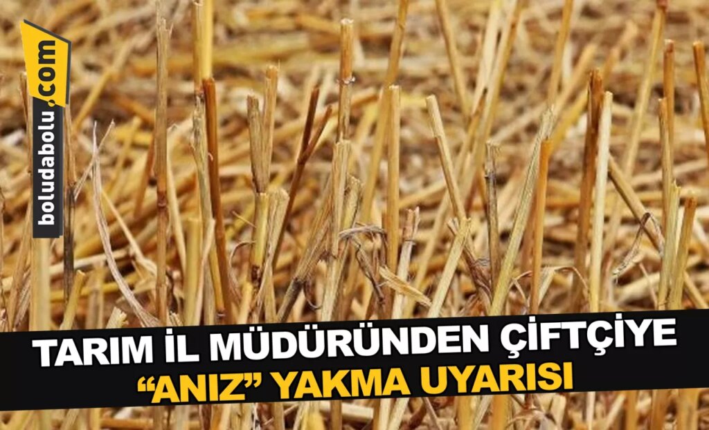 TARIM İL MÜDÜRÜNDEN ÇİFTÇİYE “ANIZ” YAKMA UYARISI TARIM İL MÜDÜRÜNDEN ÇİFTÇİYE “ANIZ” YAKMA UYARISI