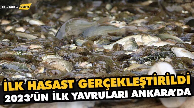 2023’ÜN İLK YAVRULARI ANKARA’DA
