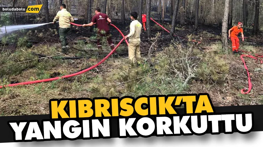 KIBRISCIK’TA YANGIN KORKUTTU KIBRISCIK’TA YANGIN KORKUTTU
