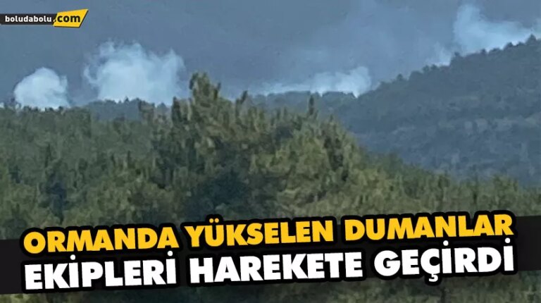 ORMANDA YÜKSELEN DUMANLAR EKİPLERİ HAREKETE GEÇİRDİ