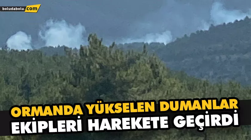 ORMANDA YÜKSELEN DUMANLAR EKİPLERİ HAREKETE GEÇİRDİ ORMANDA YÜKSELEN DUMANLAR EKİPLERİ HAREKETE GEÇİRDİ