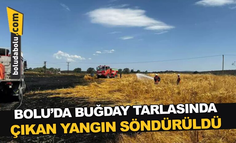 Bolu’da buğday tarlasında çıkan yangın söndürüldü