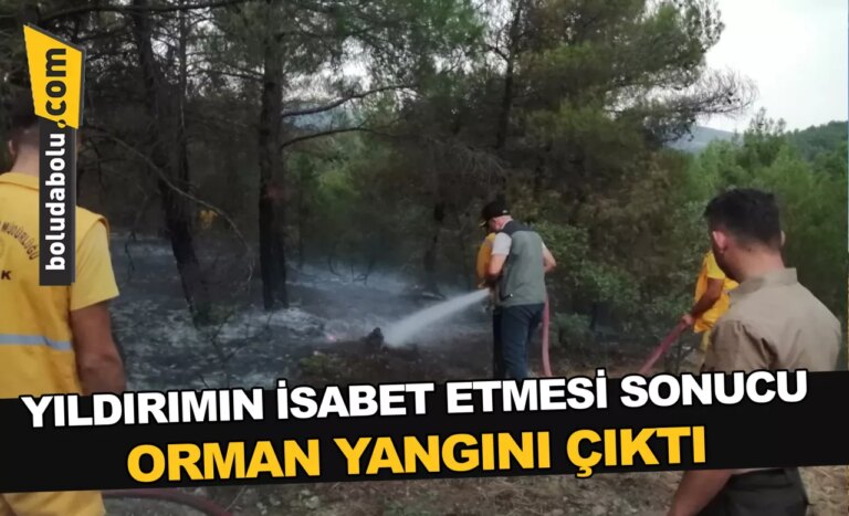 Bolu’da yıldırımın isabet etmesi soncu orman yangını çıktı