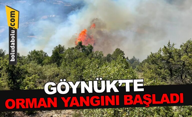 Bolu’da orman yangınına müdahale ediliyor