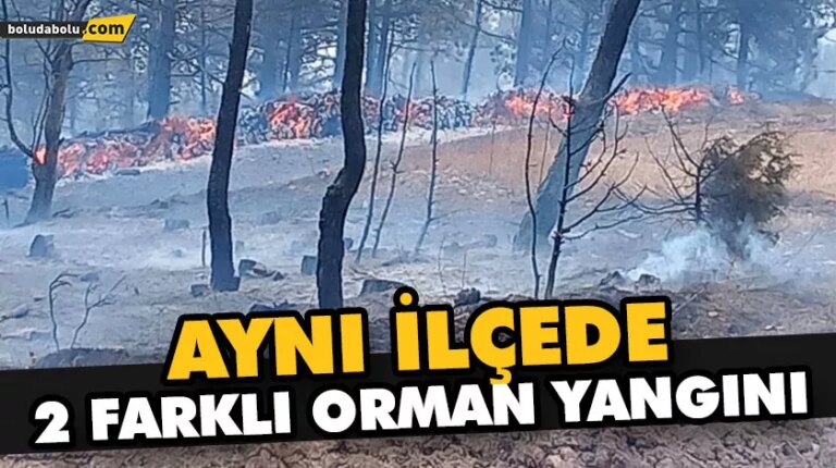AYNI İLÇEDE 2 FARKLI ORMAN YANGINI