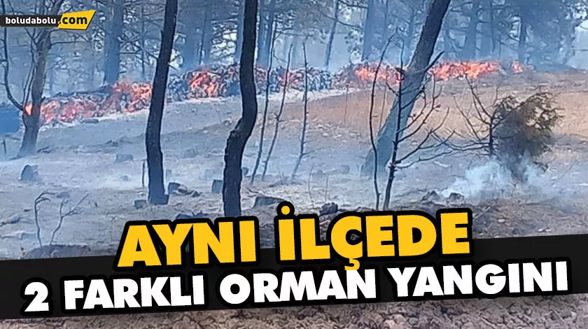 AYNI İLÇEDE 2 FARKLI ORMAN YANGINI AYNI İLÇEDE 2 FARKLI ORMAN YANGINI