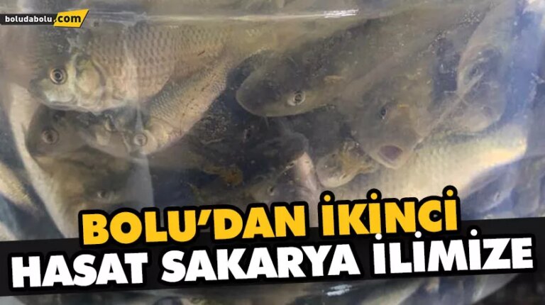 BOLU’DAN İKİNCİ HASAT SAKARYA İLİMİZE