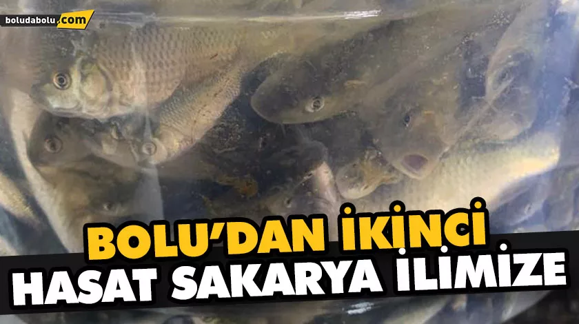BOLU’DAN İKİNCİ HASAT SAKARYA İLİMİZE BOLU’DAN İKİNCİ HASAT SAKARYA İLİMİZE