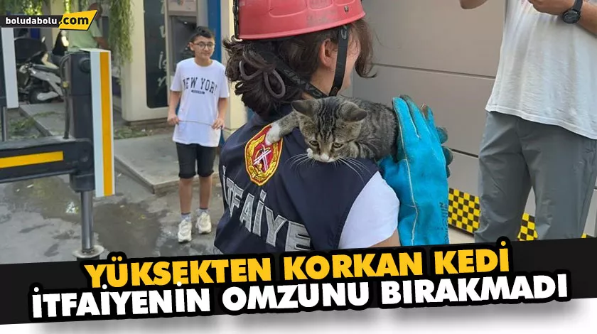 Yüksekten korkan kedi, itfaiyenin omzunu bırakmadı Yüksekten korkan kedi, itfaiyenin omzunu bırakmadı